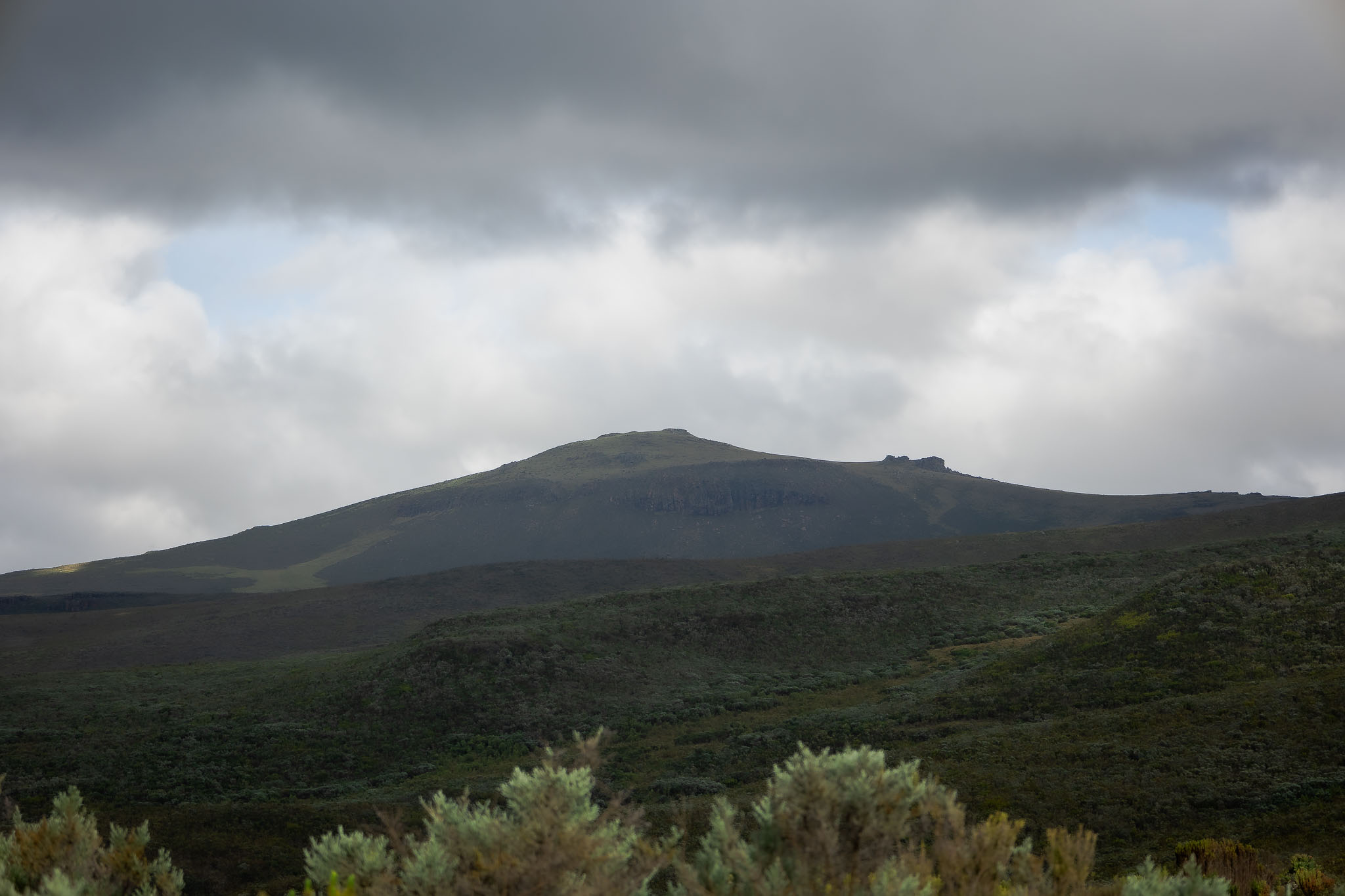 Community gathering for conservation